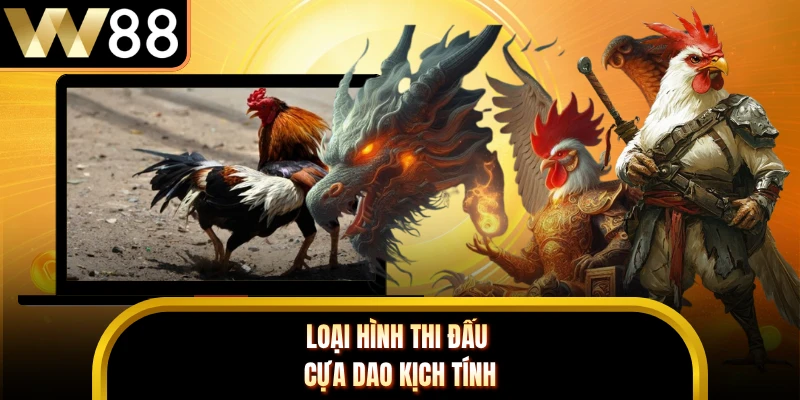 Loại hình thi đấu cựa dao kịch tính