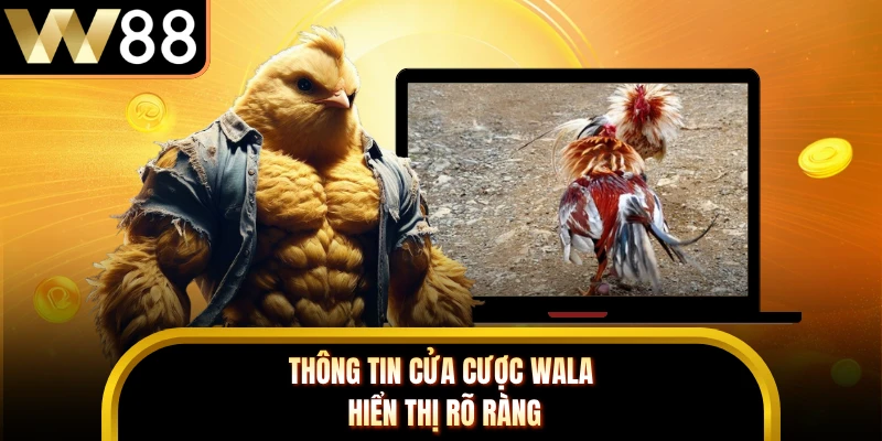 Thông tin cửa cược Wala hiển thị rõ ràng